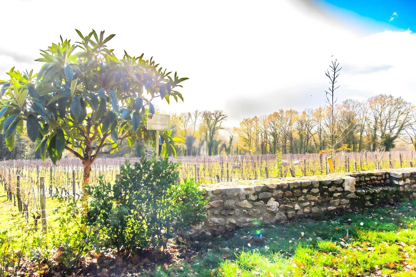 La permaculture comme logique d’ensemble
