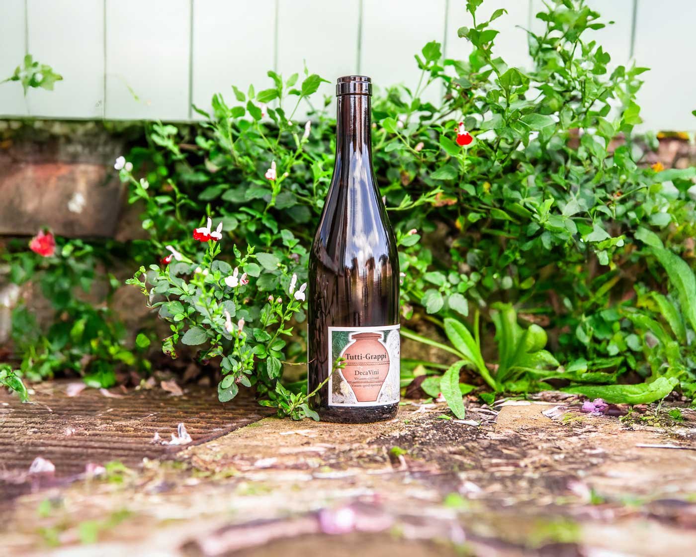 Domaine Bois Brillant : Nos vins : six cépages, zéro compromis