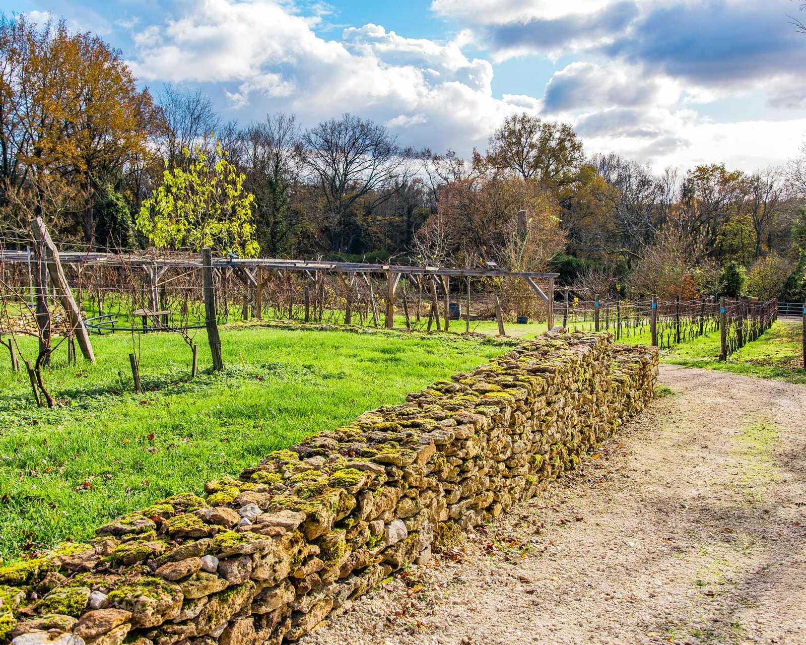 Un vin bio cultivé en Seine-et-Marne (77)