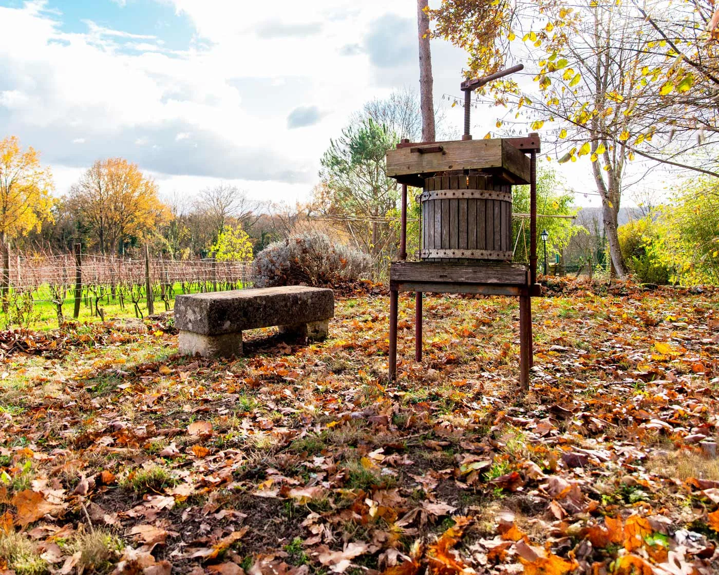 Le domaine : l’histoire d’un terroir millénaire