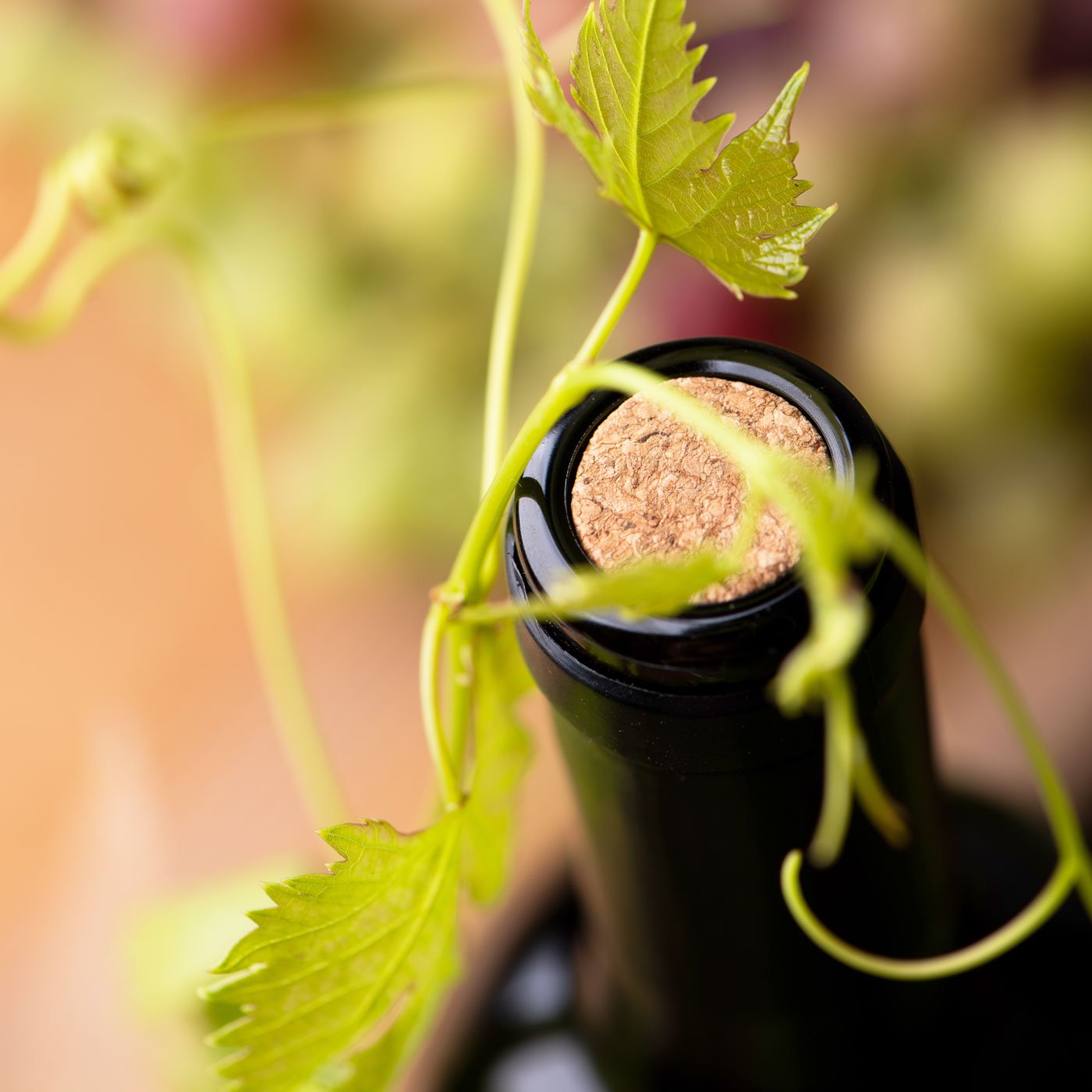 Vin d’Île-de-France