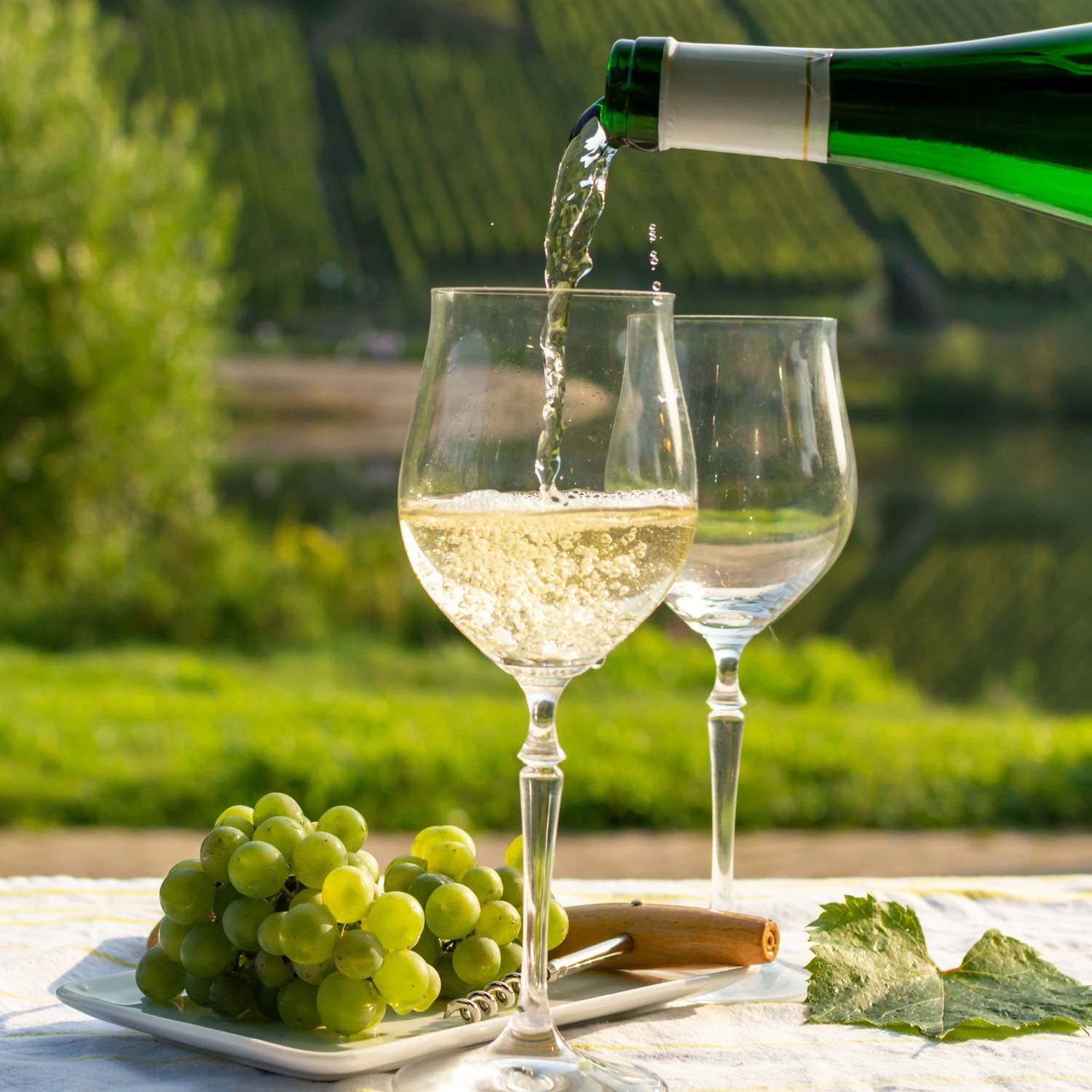 Pinot gris